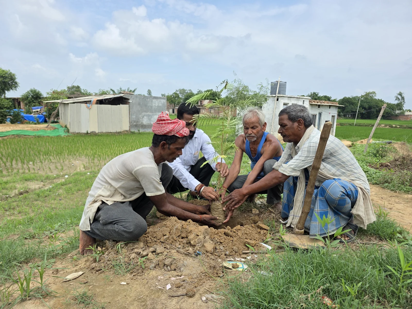 Plantation & Green Action 2