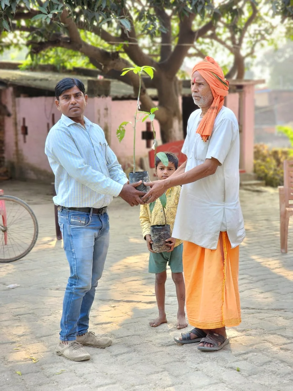 वृक्षारोपण 7