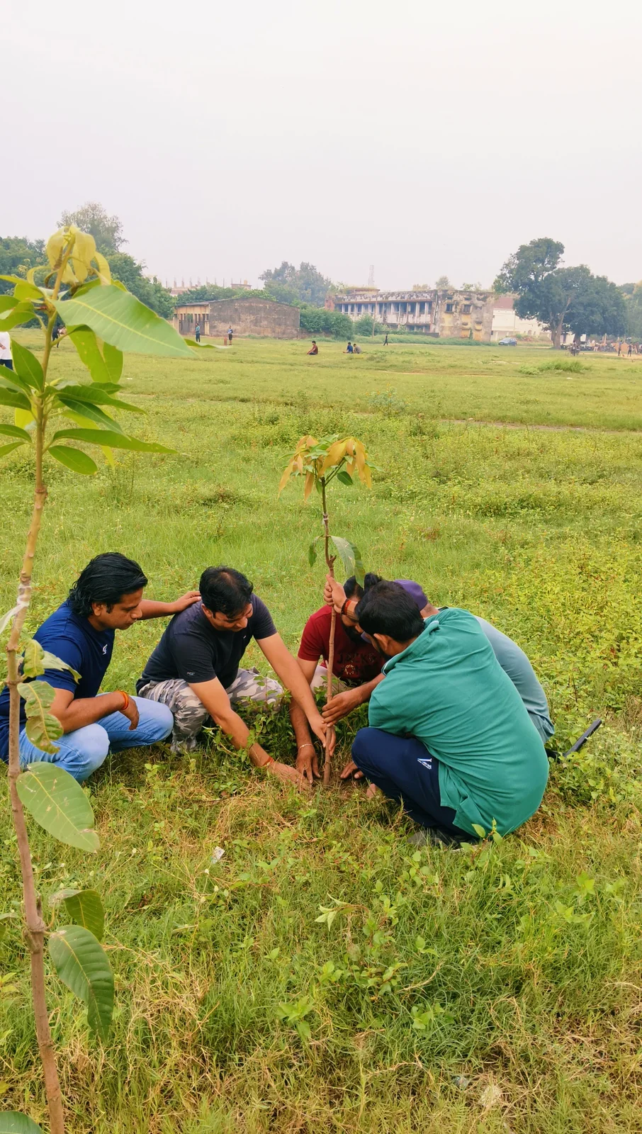 वृक्षारोपण 12