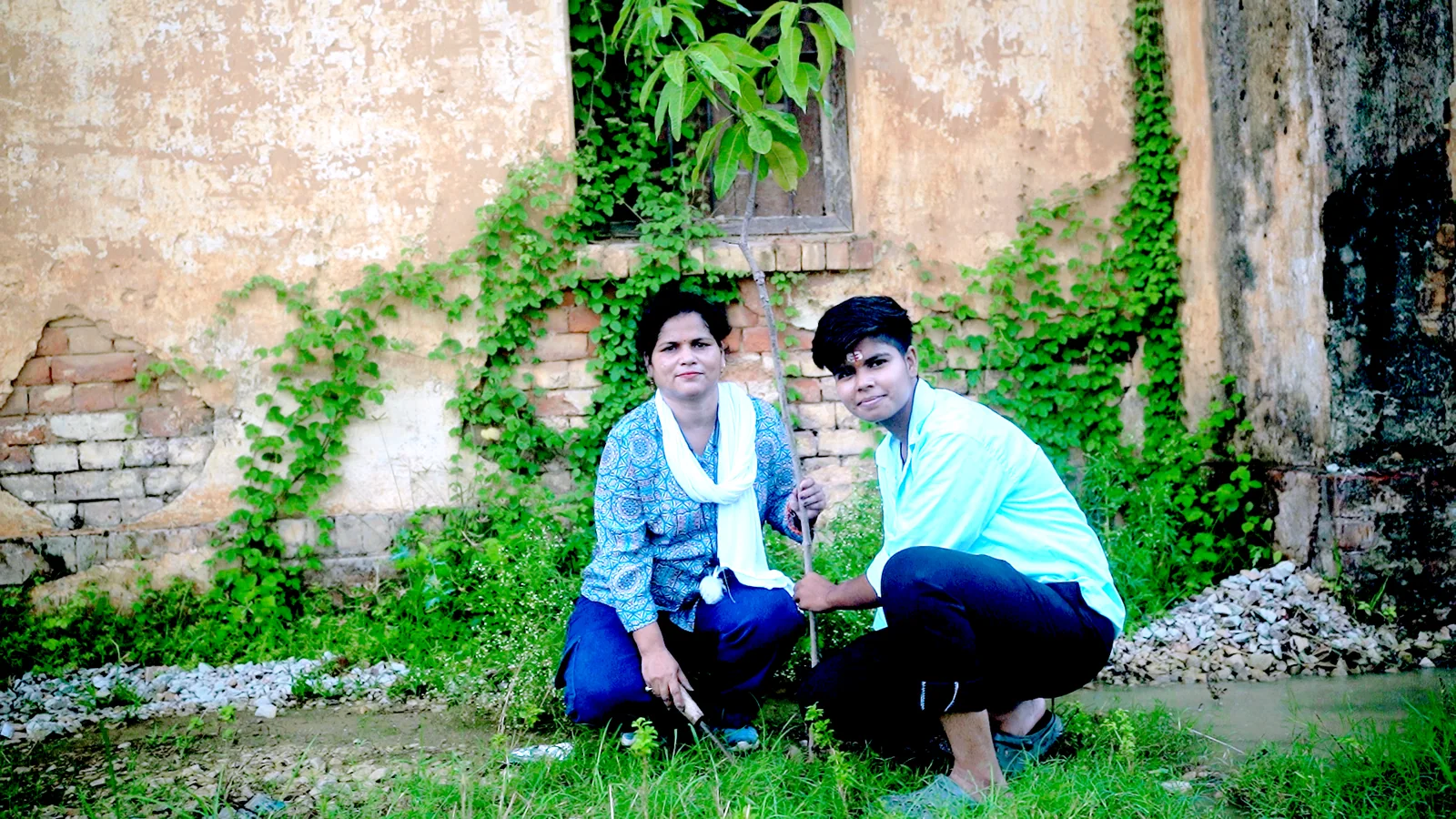 वृक्षारोपण 15