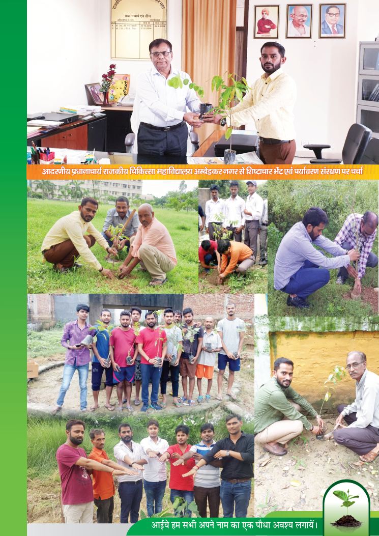 हरित भारत पर्यावरण गतिविधि - पृष्ठ 25
