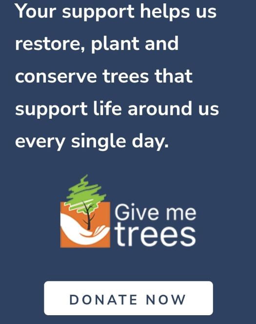 Your support helps us restore, plant and conserve trees that support life around us every single day.