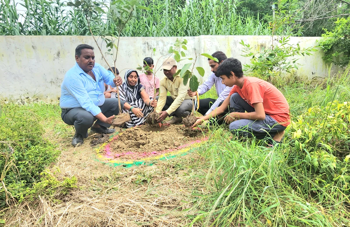 Plant 10,000 Trees Campaign