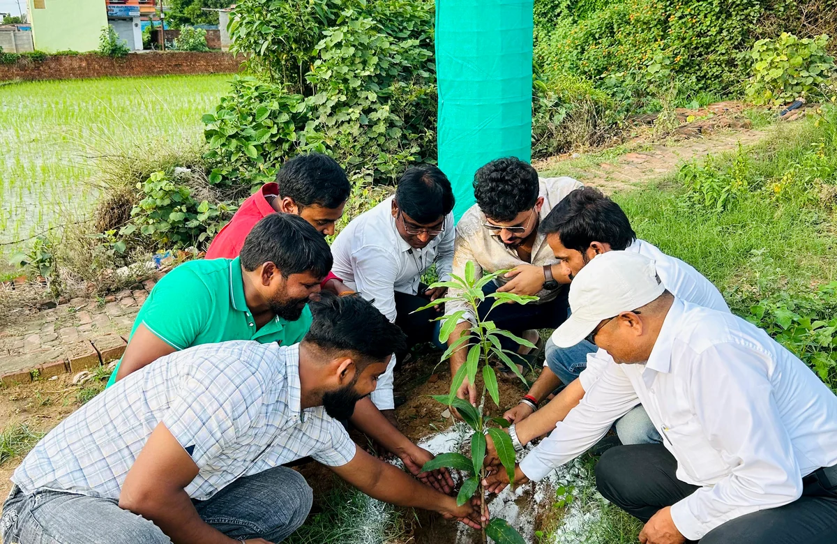 Environment & Plantation